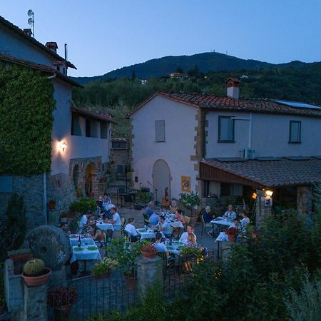 Agriturismo Borgo Mocale Castelfranco di Sopra Kültér fotó