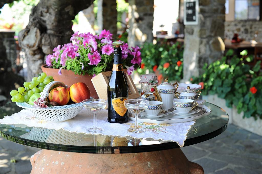 Agriturismo Borgo Mocale Castelfranco di Sopra Kültér fotó