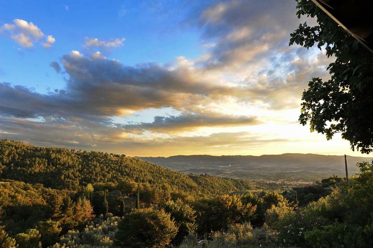 Agriturismo Borgo Mocale Castelfranco di Sopra Kültér fotó